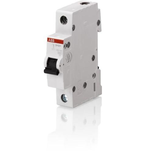 1x6A Otomatik Sigorta B Tipi 6kA