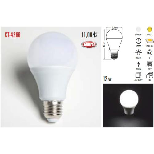 Led Ampul 12 W (Beyaz Işık)