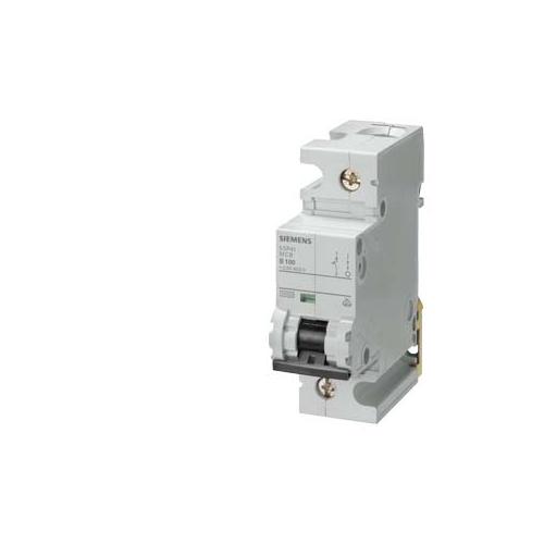 Otomatik Sigorta C 100A 1Faz , 10kA 70 mm