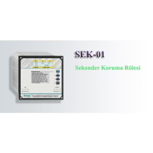 Sekonder Koruma Rölesi