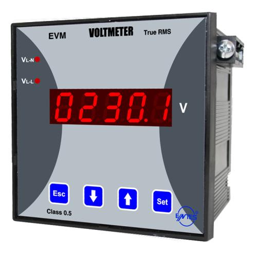 Voltmetre Ray Montajlı , Demandlı